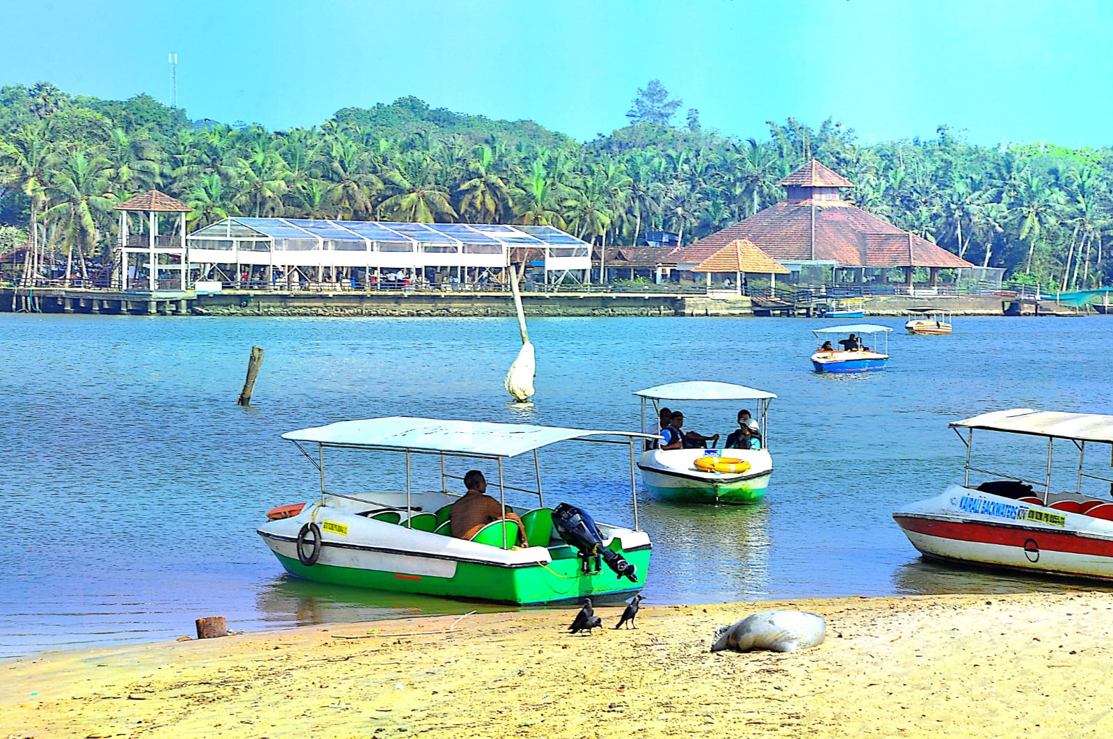Backwater Boating in Poovar - Sunset Boating Cruise Image 3